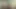 Ally Caning