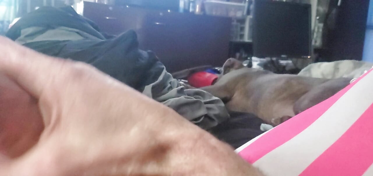 CD Michelle priča priču o danu kada je moj