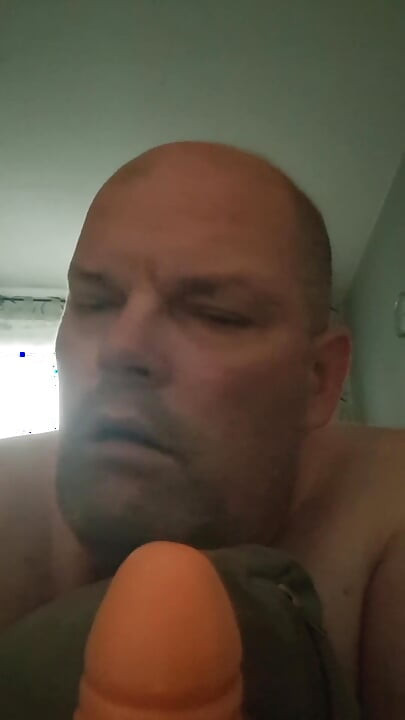The Destroyed Bitch