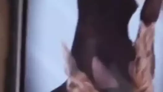 Boşalmak haraç evelyn 3 mamasita riquisima uuff