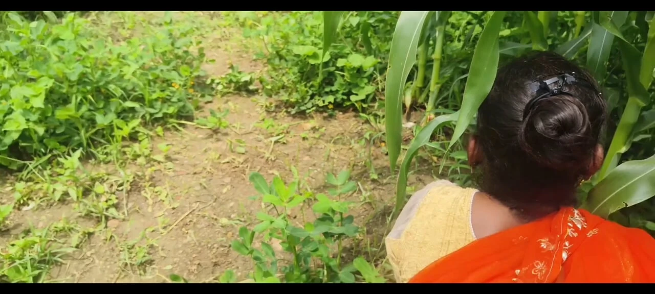 Sonam was fucked in the maize field