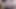 seksi etli kovboy çift cum cam video ( pislik kapalı &amp; cum )