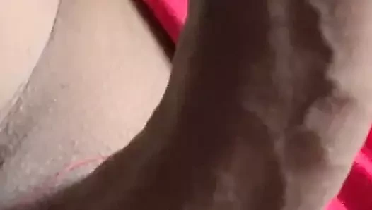 Grosse bite Trans