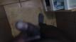 Video pregled