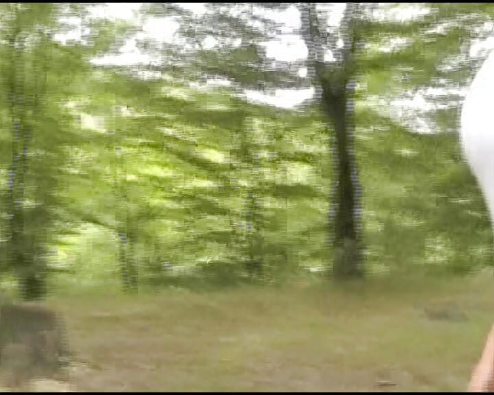 Două gagici drăguțe germane care se joacă împreună în sesiune în aer liber