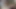 Ass Sniffing Licking Deep Throat Fuck Face Piss and Pee and Cum Swallow