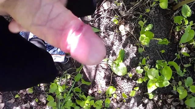 my jerking member