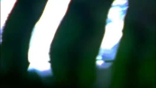 Ein neuer großer schwanz für den arsch von Taylor Rain