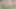 Private.com - belle claire ve dellai ikizleriyle ateşli seks partisi!