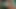 pilzkopf besamt mein Foto