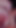 Miela Rule34 3Dアニメーション - 眠そうな女の子が膣舐め、アナルバイブレーター挿入、指でオーガズムに導く |クリップ3