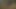real Husband and wife went for camping to Forest.sex in Forest with blasting sounds