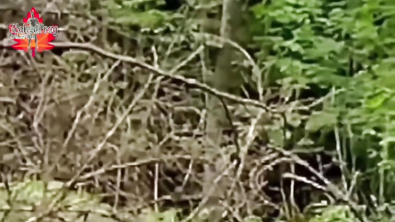 Nudist the Primeval Forest