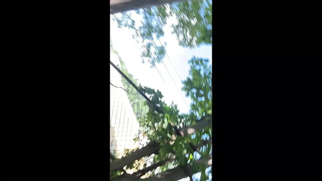 Naked Exhibitionist beside the Highway