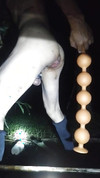Pregled videozapisa