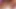 Seksi esmer Kesha Ortega elini ve amına kalın bir dildo sokuyor