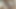 みんな、僕のトゥワーク動画が恋しい?
