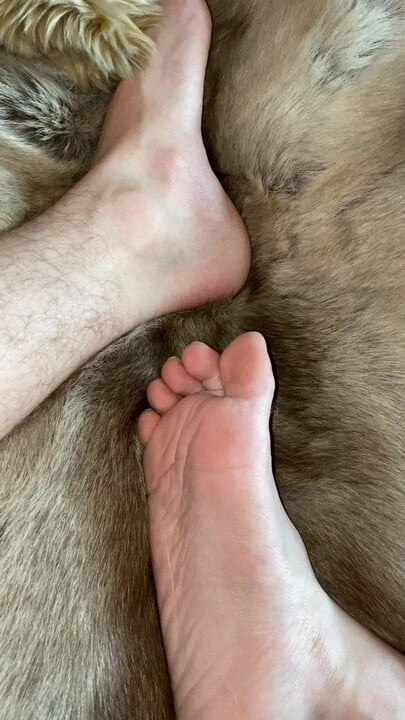 Reindeer hide fun