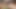 アレックスはエフゲニーの親密なエリアを剃ります!