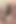 Lacey Starr oral seks yapıyor
