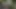 Jessica fucked and creampied by strangers in the park