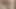 GFは法律を定める