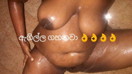 Sri Lankaanse huisvrouw Shetyyy toont zwart mollig poesje in nieuwe video