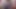 الملاك الآسيوي 24492