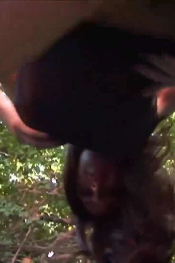 Horny slut gets her ass and pussy fucked