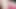 Most cute pre cumming scene babe ladyboy kitty princess shemale model
