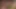 Alman gençler ilk vahşi grup seks partisi