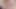 Serenitybby - şişmiş ıslak şişman kedi