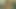 امرأة تحت التأثير