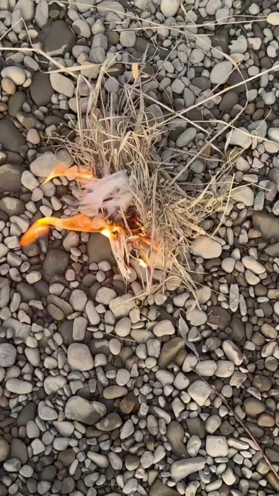 Survival Lifehack Bushcraft ✅ Survival Camping Lifehacks à l’extérieur, short de bushcraft