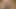 屋外、森の中でセクシーな脚を持つ角質のウサギを追いかける 4K