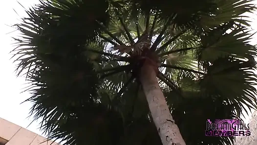 Бруклин раздевается в центре города Тампа