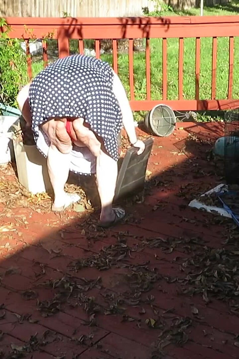 Playing in my garden showing off my tits belly ass, legs and fat pussy flashing you while cleaning up my leaves! red lace thong!