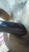 ビデオのプレビュー