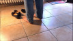 Pregled videozapisa