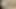 Girl takes whole 12 inch dildo
