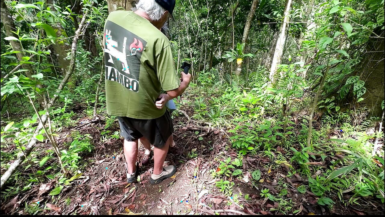 Two Senior Citizens Seeing if They Can Still Fuck Against a Tree