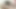 Tattooed shemale bangs wet cunt of a blonde girl with her big dick