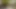 VIP4k. inga şeytan yabancıyla nakit için seks beklemiyordu