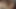 Büyük mor dildoyla amımı sikiyorum