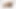 Nicole Smith bending inside out naked