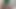 つま先におしっこ