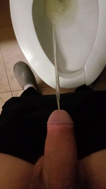 German public toilet piss #14