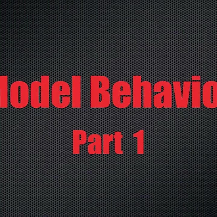 Model davranışı - bölüm 1