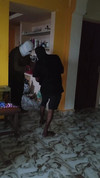 Pregled videozapisa
