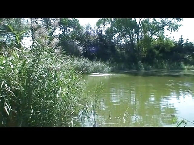 Country Cows - Vacche Di Campagna DVD